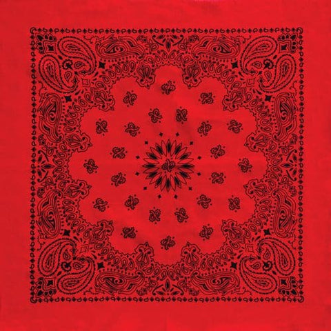 Red/Black 27" x 27" Austin Paisley Print Bandana