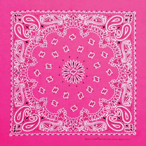 Neon Pink 22" x 22" Paisley Print Bandana