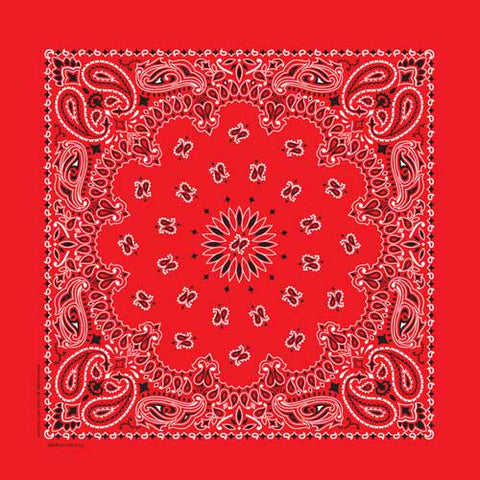 Red 22" x 22" Paisley Print Bandana