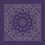 Plum 22" x 22" Paisley Print Bandana