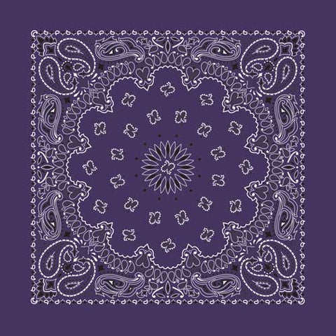 Plum 22" x 22" Paisley Print Bandana