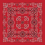 Red 27" x 27" Texas Paisley Print Bandana