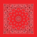 Red 35" x 35" X-Large Paisley Print Bandana