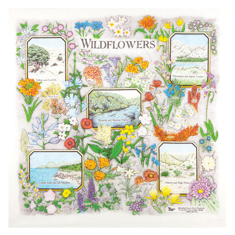 Wildflowers 22" x 22" Bandana