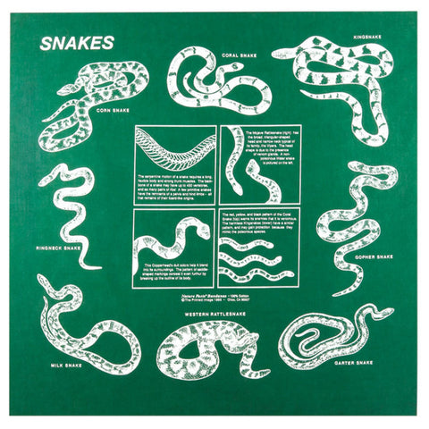 Snakes 22" x 22" Info Bandana