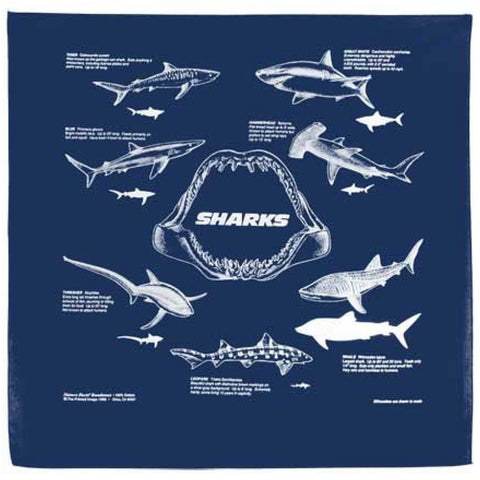 Navy Blue Sharks 22" x 22" Info Bandana