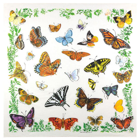 Butterflies 22" x 22" Bandana