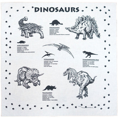 Dinosaurs 22" x 22" Info Bandana